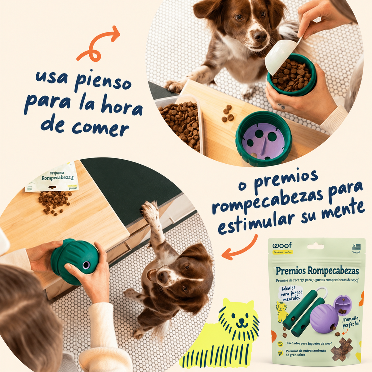 Pelota interactiva para perros